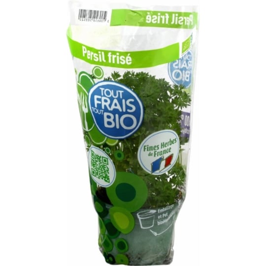 Plant de Persil frisé Bio frais