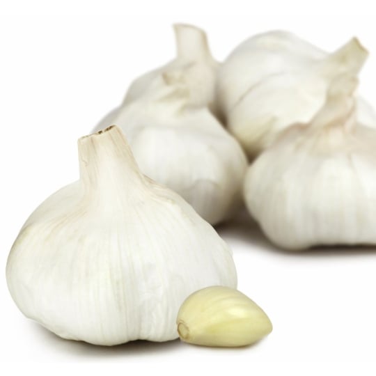 Ail blanc  PETIT PRIX