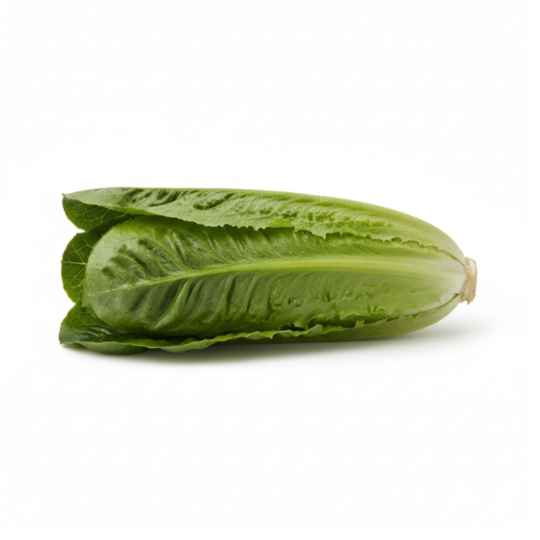 Salade Romaine