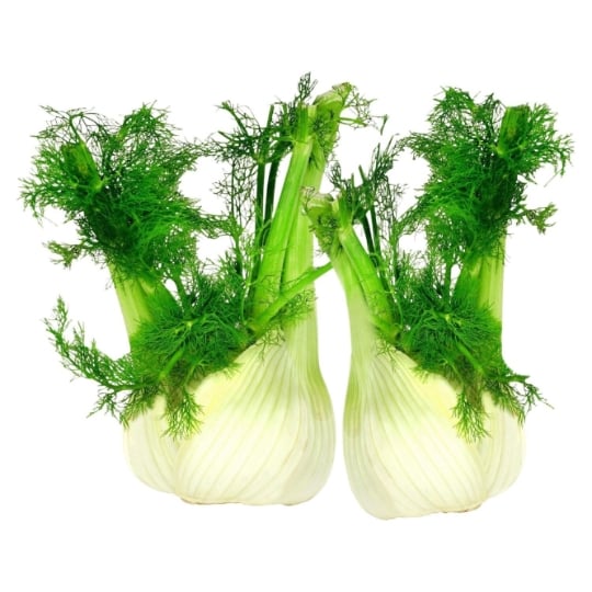 Fenouil vrac Bio