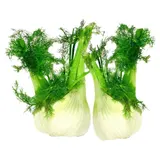 Fenouil vrac Bio
