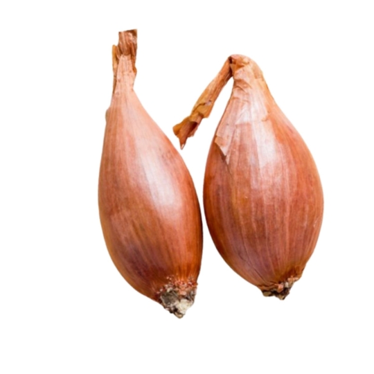 Echalote Vrac Bio