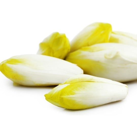 Endives Jeunes Pousses