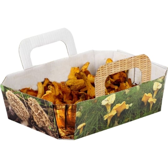 Girolles