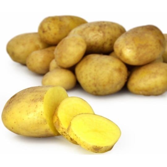 Pommes de terre primeur