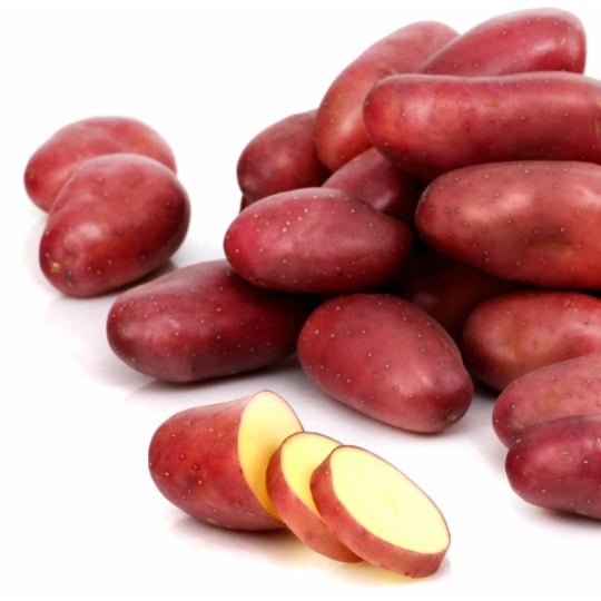 Pommes de terre rouge Vapeur / Gratin / Rissolée