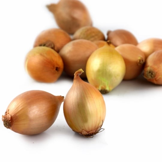 Oignons sauciers  CARREFOUR