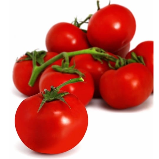 Tomates rondes Bio
