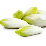 Endives blanches  REFLETS DE FRANCE