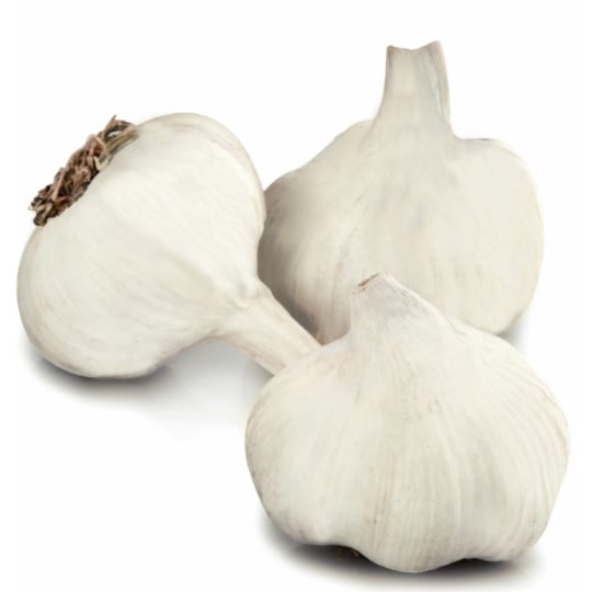 Ail blanc bio