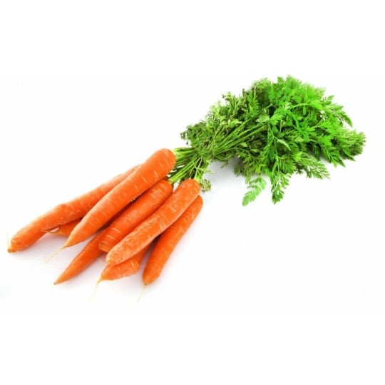 Carottes botte fanes
