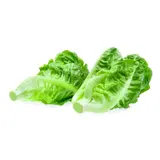 Salade cœurs de romaine