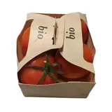 Tomates rondes en grappe Bio