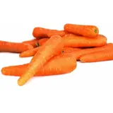 Carottes bio Carottes
