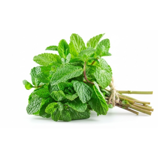 Menthe