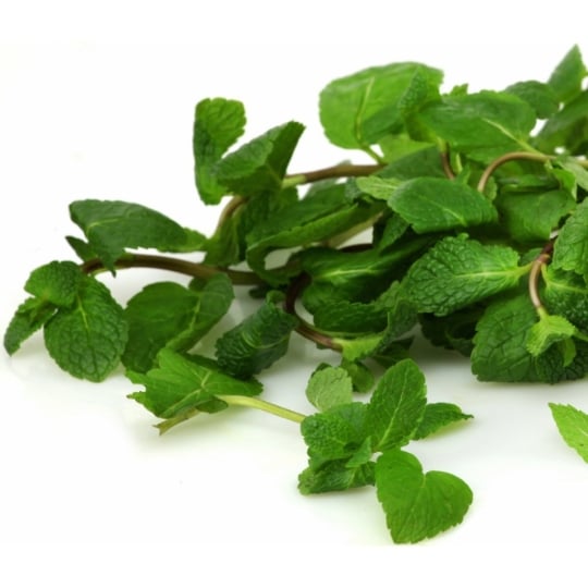 Menthe