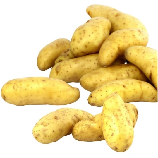 Pommes de terre primeur Ile de Ré AOP