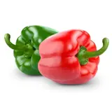 Poivrons bicolores