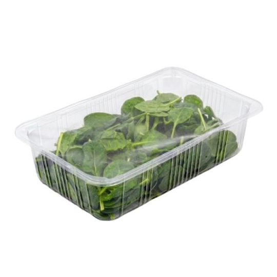 Salade Jeunes Pousses d'Epinard