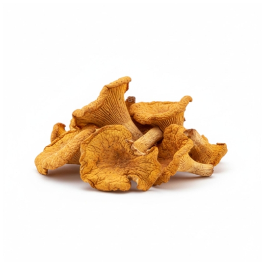 Girolles Séchées