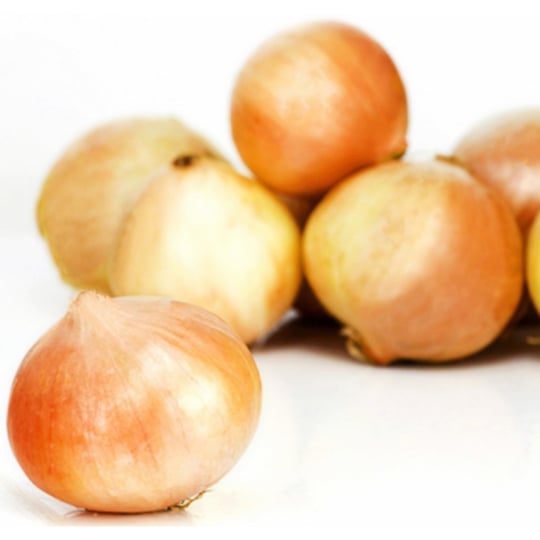 Oignons jaunes bio