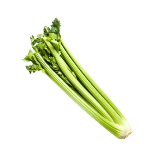 Céleri Bio branche