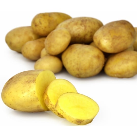 Pommes de terre primeur Gourmandine de Noirmoutier IGP