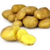 Pommes de terre Vapeur / Gratin / Rissolée