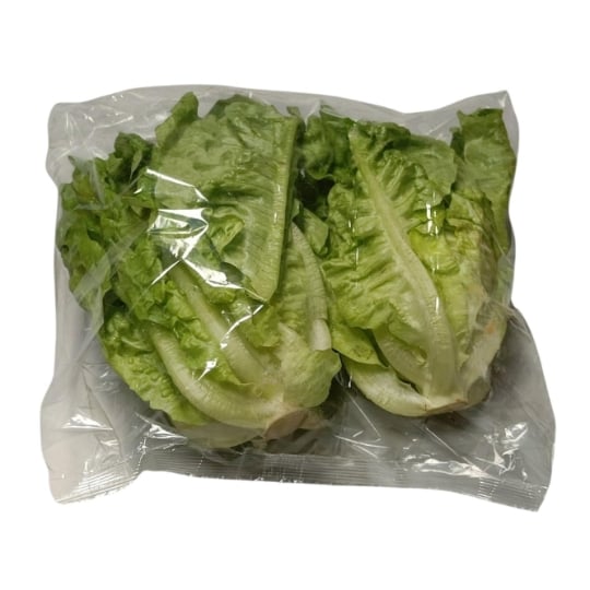 Salade sucrine Bio