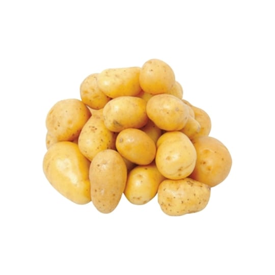 Pommes de terre de consommation agroécologie REFLETS DE FRANCE