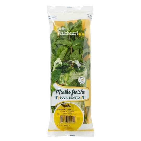 Menthe à Mojito