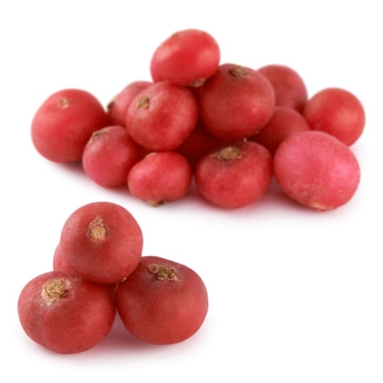 Radis rouge équeutés Bio