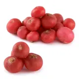 Radis rouge équeutés Bio