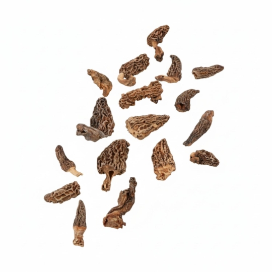 Champignons Secs Morilles