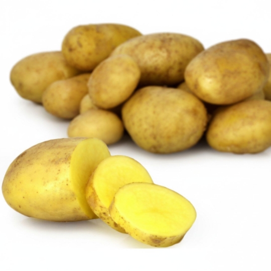 Pomme de Terre de Consommation Baie de Somme