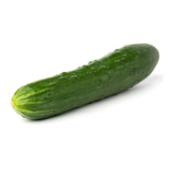 Concombre Noa Bio