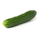 Concombre Noa Bio