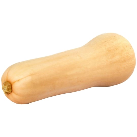 Courge butternut agroécologie FILIERE QUALITE CARREFOUR