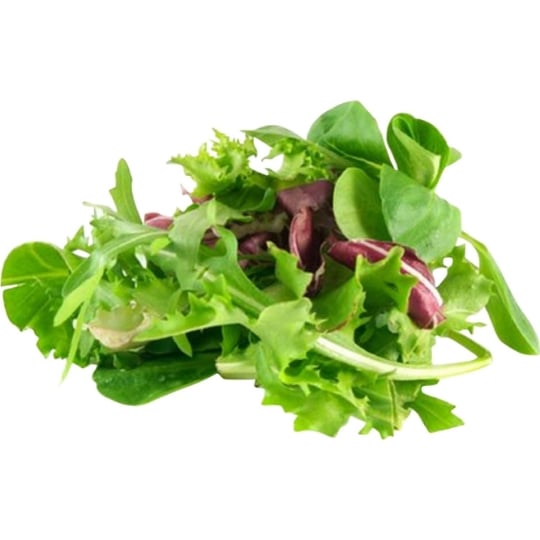 Salade jeunes pousses Bio