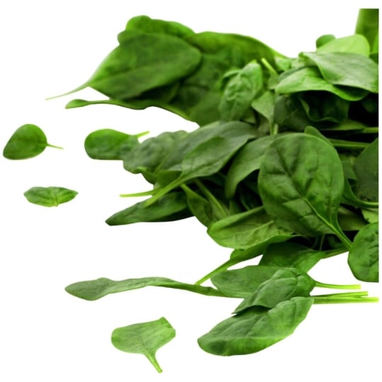 Salade Bio jeunes pousses d'épinard