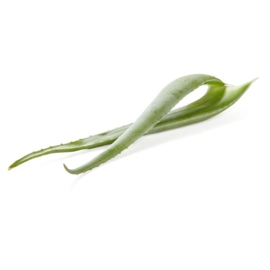 Aloe Vera Bio