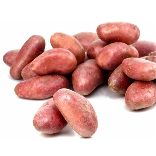 Pommes de terre Vapeur Rouge agroécologie