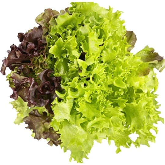 Salade trio life