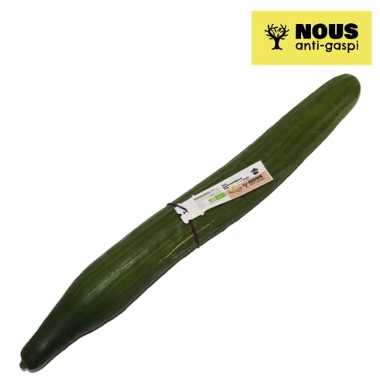 Concombre Bio NOUS ANTI GASPI
