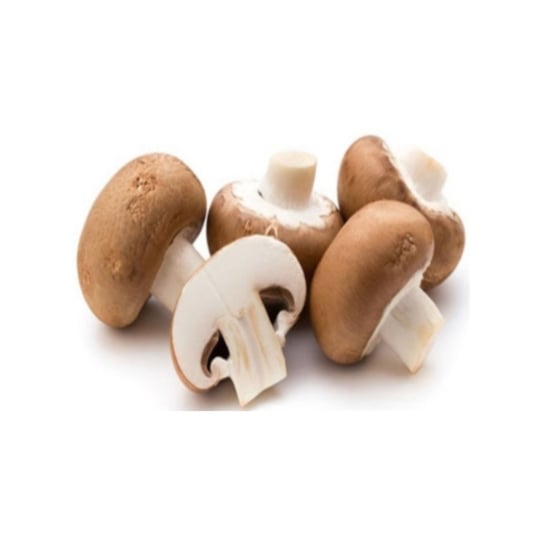 Champignon brun