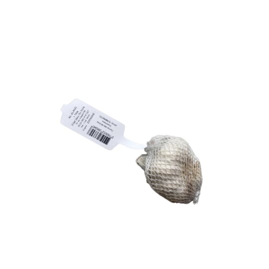 Tête d'ail