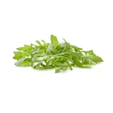 Roquette
