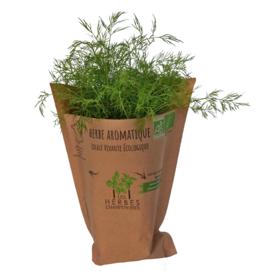 Herbe Aromatique LES HERBES CHAMPENOISES