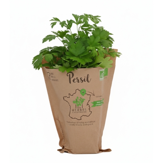 Persil Plat LES HERBES CHAMPENOISES
