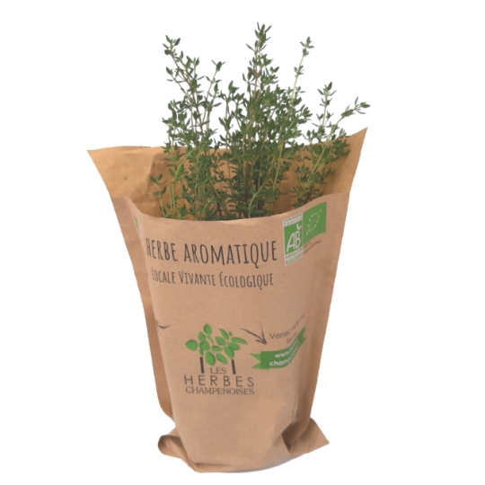 Herbe Aromatique LES HERBES CHAMPENOISES